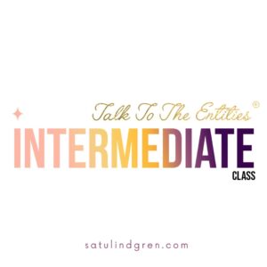 Talk to the Entities Intermediate