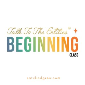 Talk to the Entities Beginning