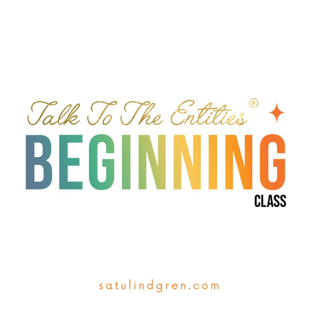 Talk to the Entities Beginning
