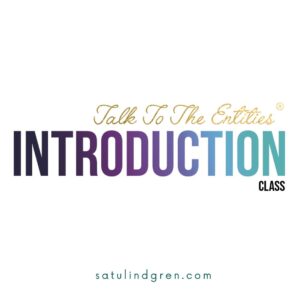 Talk to the Entities Introduction